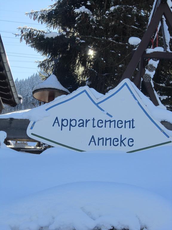 Appartement Anneke Niedernsill Exteriör bild