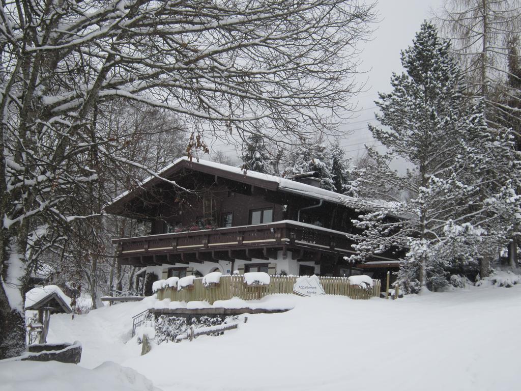 Appartement Anneke Niedernsill Exteriör bild